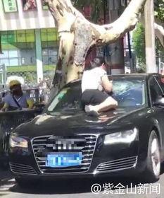 抓捕吃瓜群众视频大全,视频大全中的趣味瞬间回顾 抓捕吃瓜群众视频大全,视频大全中的趣味瞬间回顾