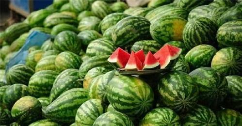 广西行健吃瓜原视频网站,揭秘热门视频网站背后的故事