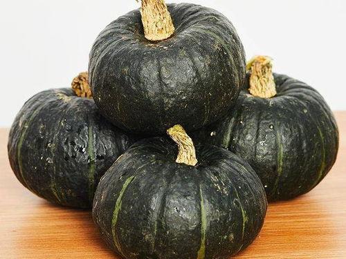 小孩吃贝贝瓜的做法视频