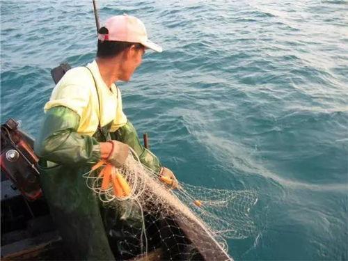 汕尾渔民吃瓜事件视频播放,一场引发热议的网络视频风波