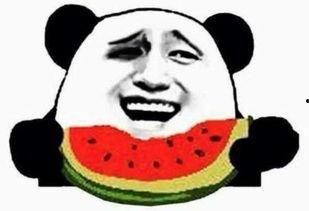 河北吃瓜事件真相视频,真相视频曝光背后的惊人内幕