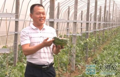 第一书记喊你吃瓜视频全集,揭秘乡村治理新风尚